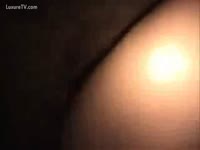 Hairy pussy got fucked on pet porn